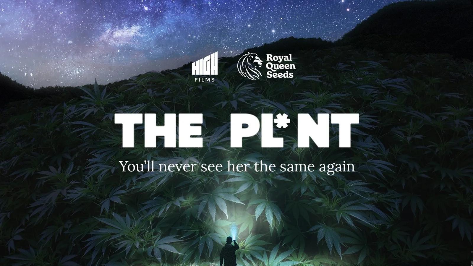 THE PLANT cannabis dokumentar — trailer og premiere