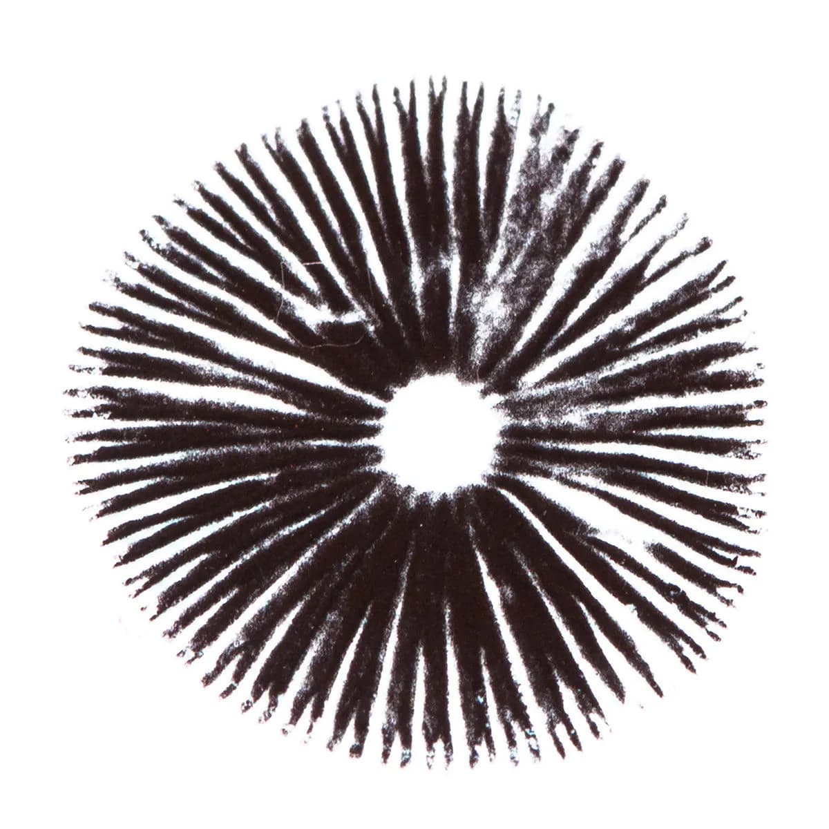 Sporepræg Psilocybe Cubensis Golden Teacher