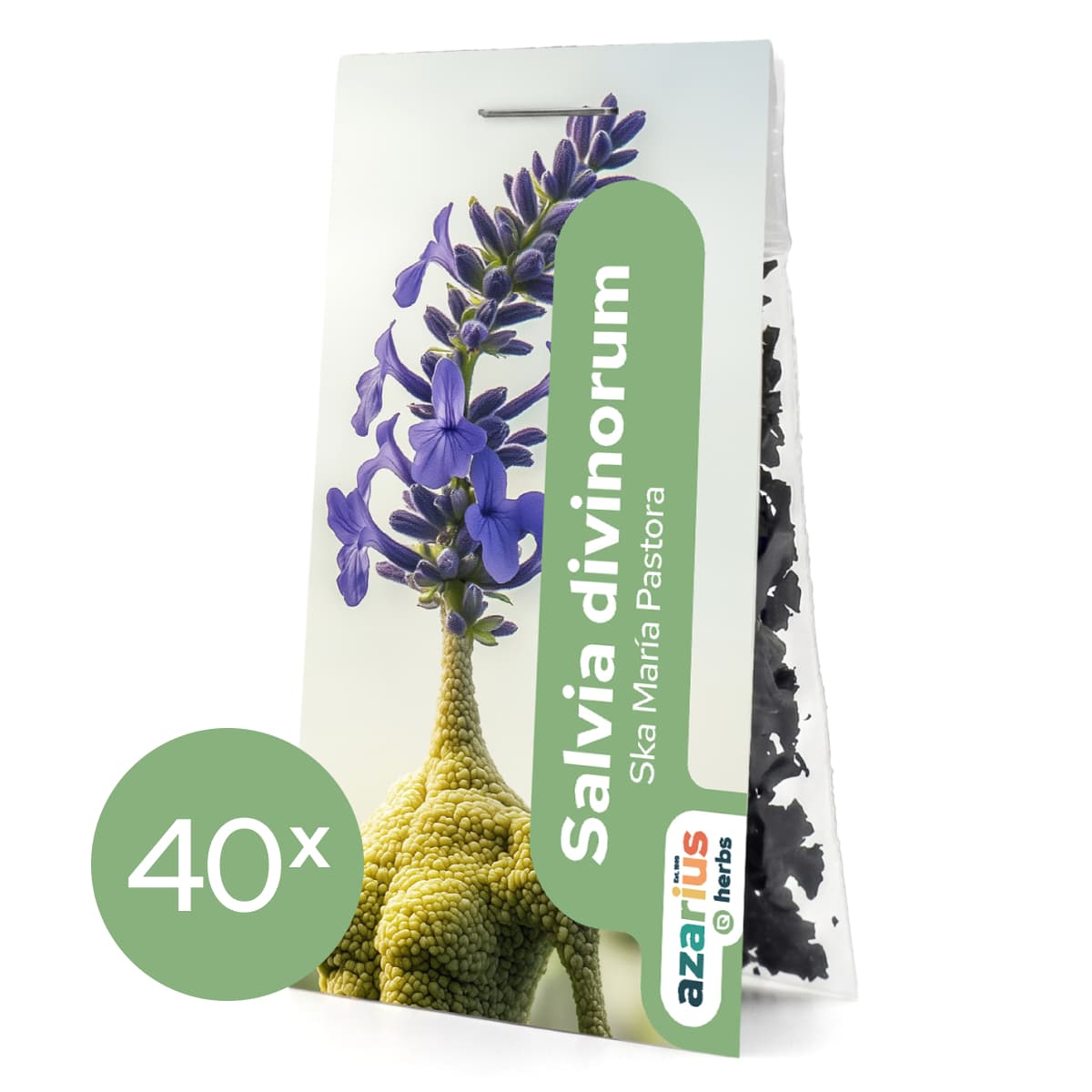 Salvia Divinorum 1x — billede 7