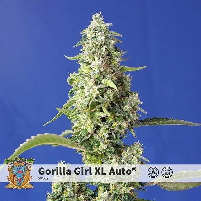 Gorilla Girl XL Auto