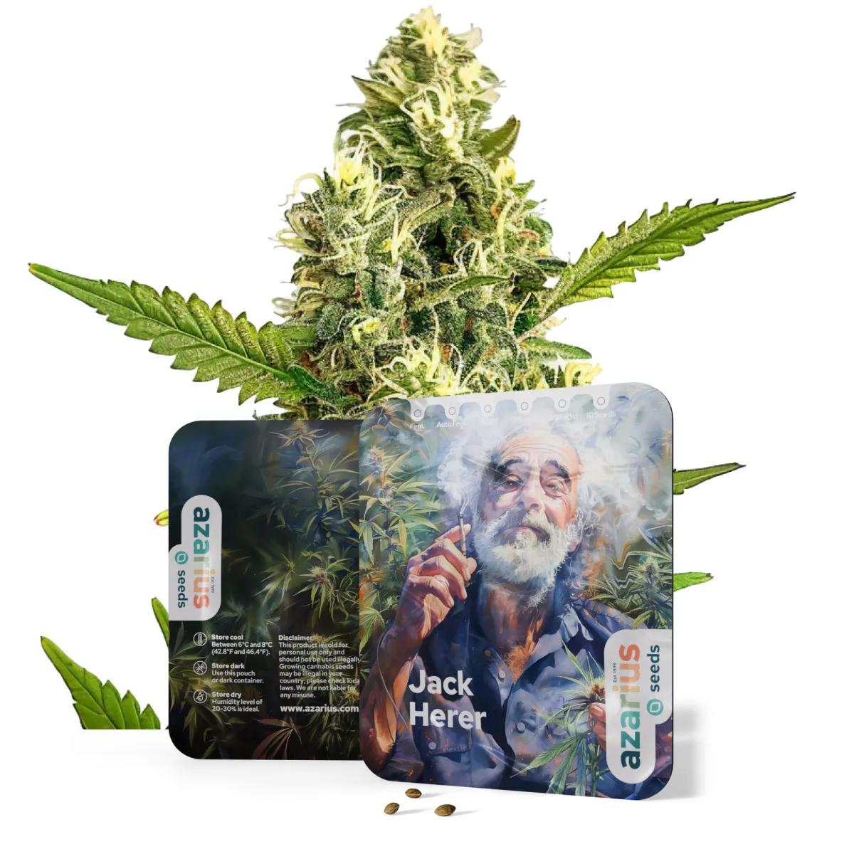 Jack Herer Auto