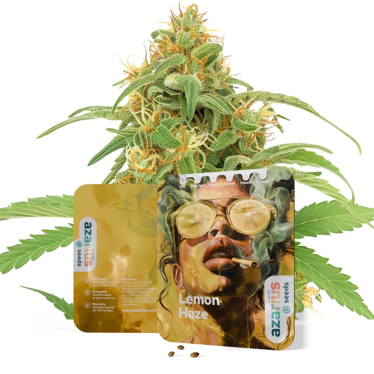Lemon Haze Auto