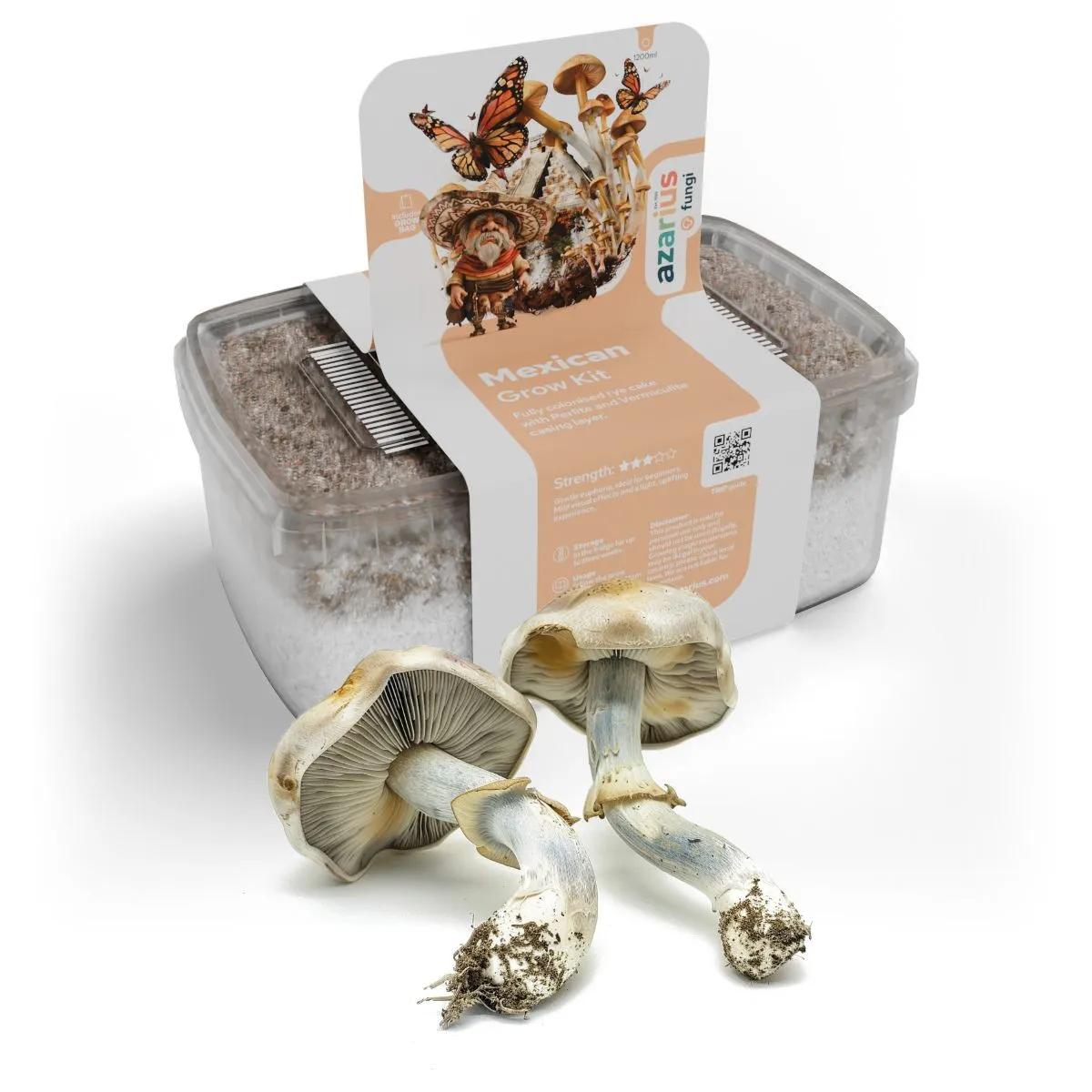 Mexican magic mushroom growkit