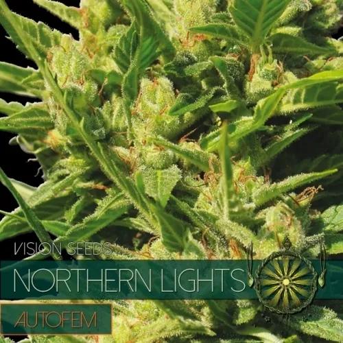 Northern Lights Autoflowering