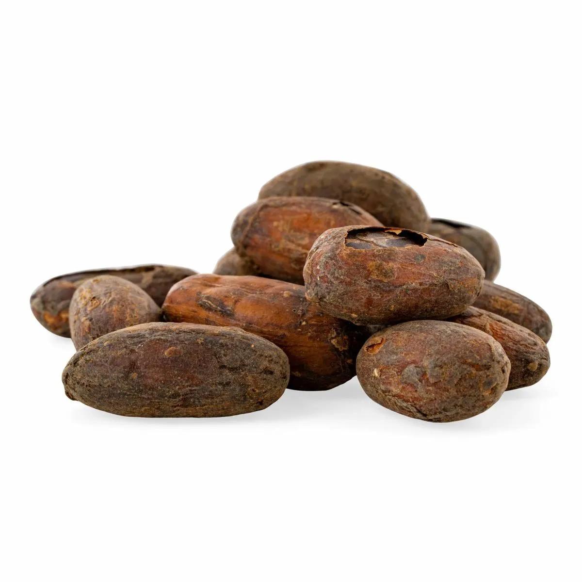 RAW Cacao Beans Økologiske