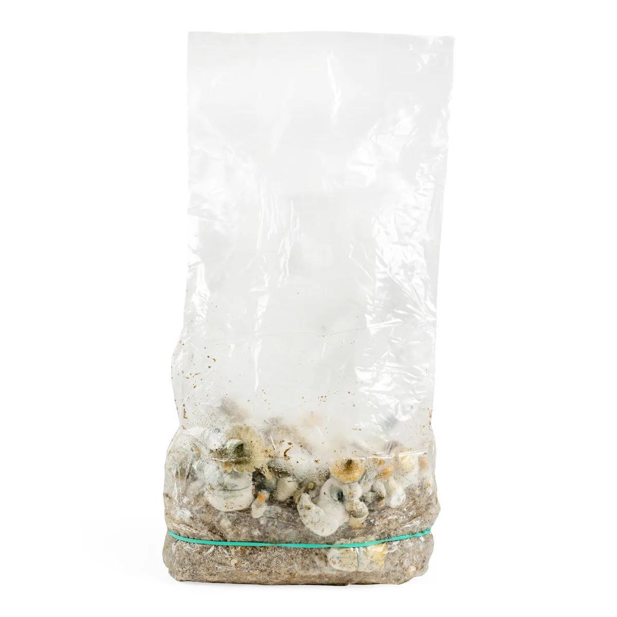 Ready-2-Grow Dyrkningspose 'Makilla Gorilla'