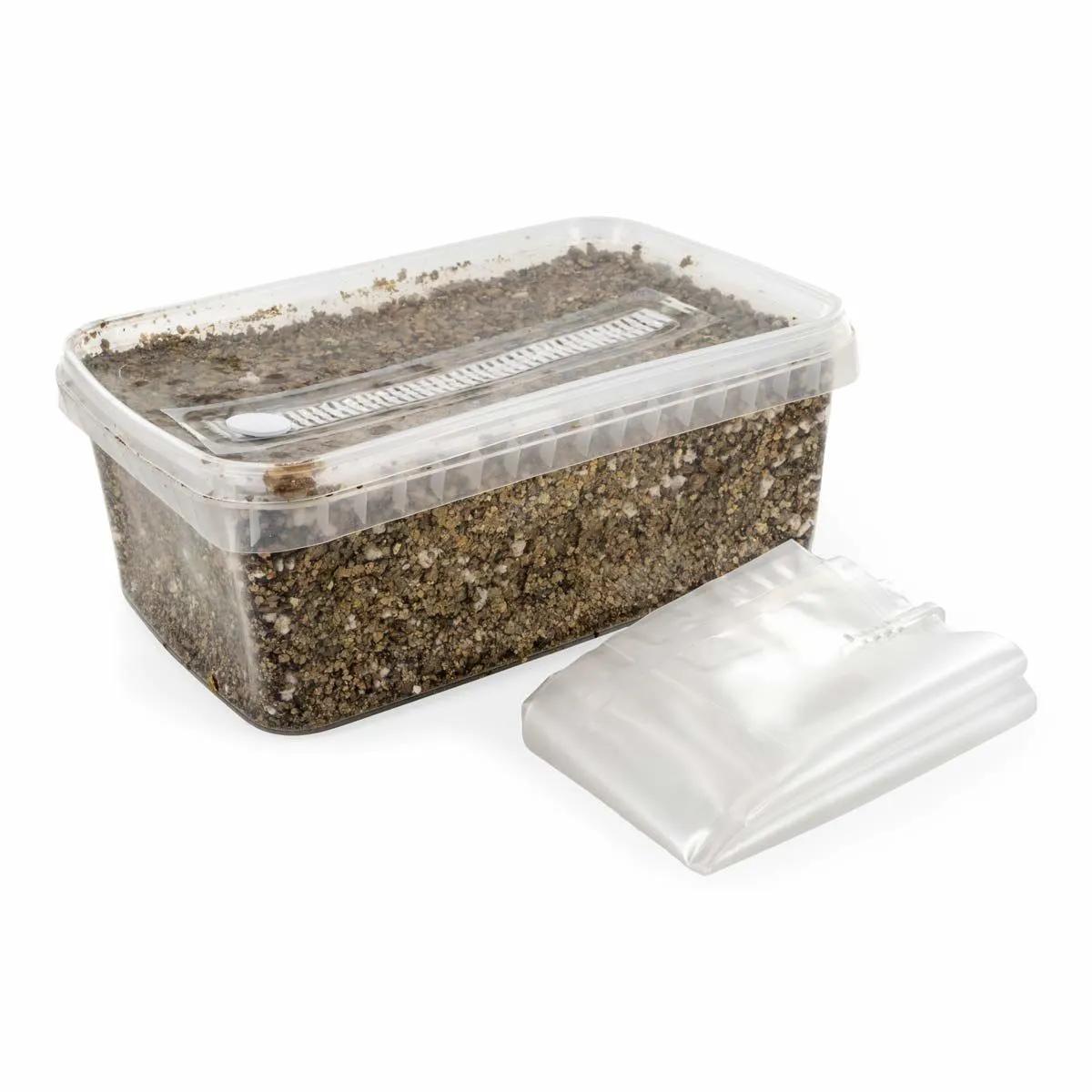 Steriliseret substratkit