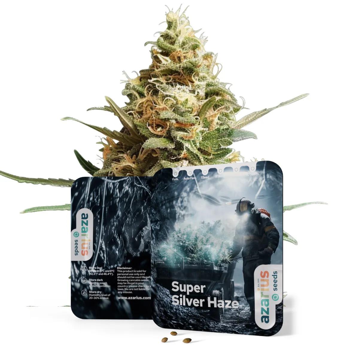 Super Silver Haze Auto