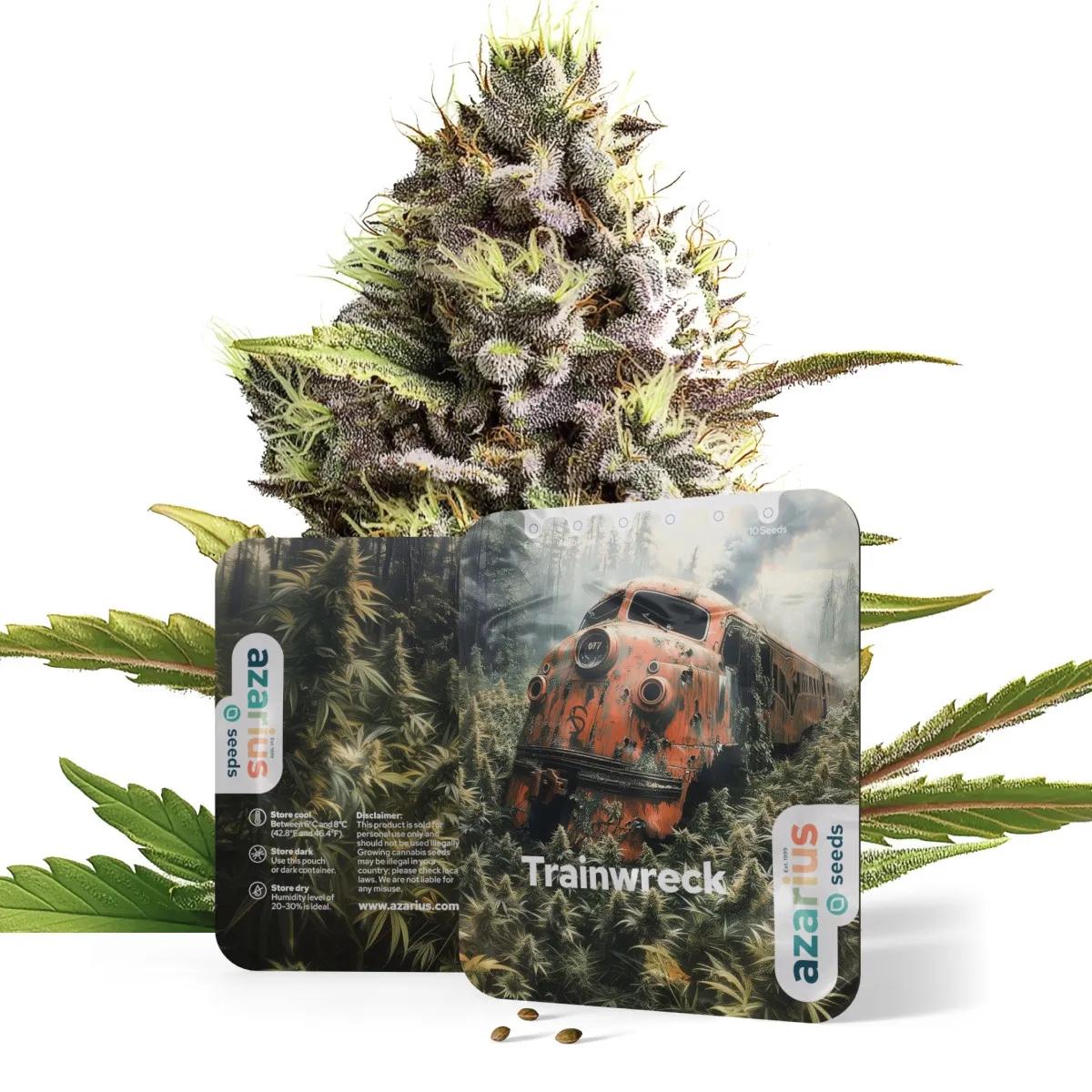 Trainwreck