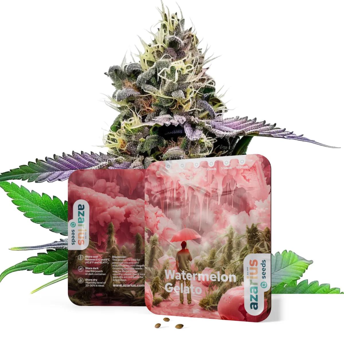 Watermelon Gelato