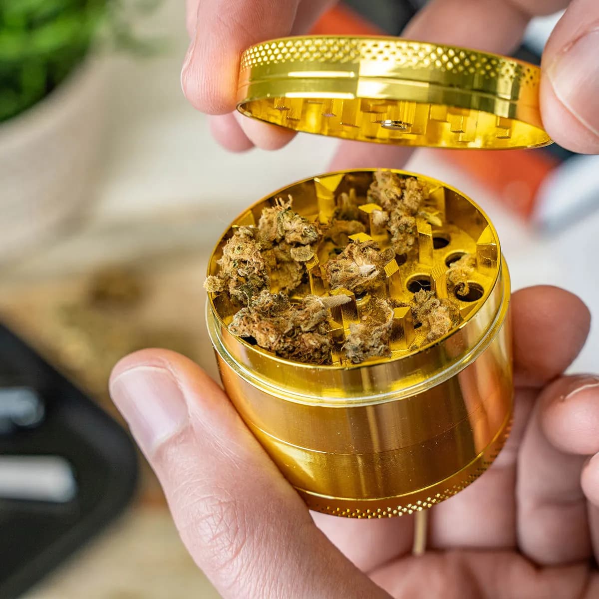 Metalkværn 24K Gold