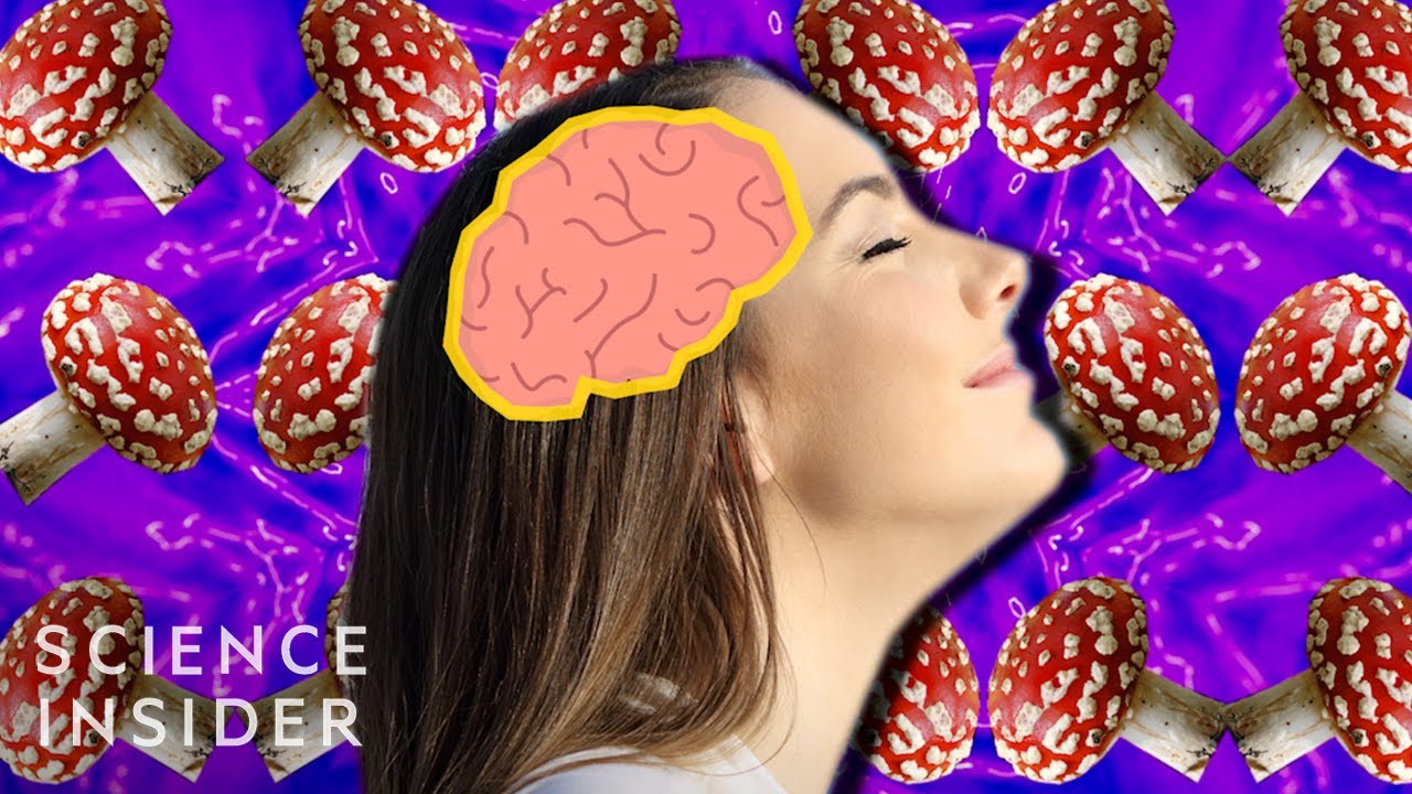 Se: Magic Mushrooms and the Brain på YouTube