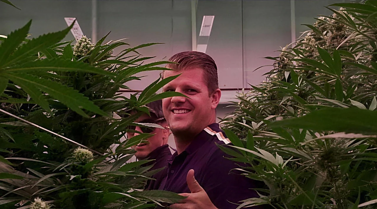 AZARIUS · Inde hos Inexo: her testes cannabisgenetikken i praksis
