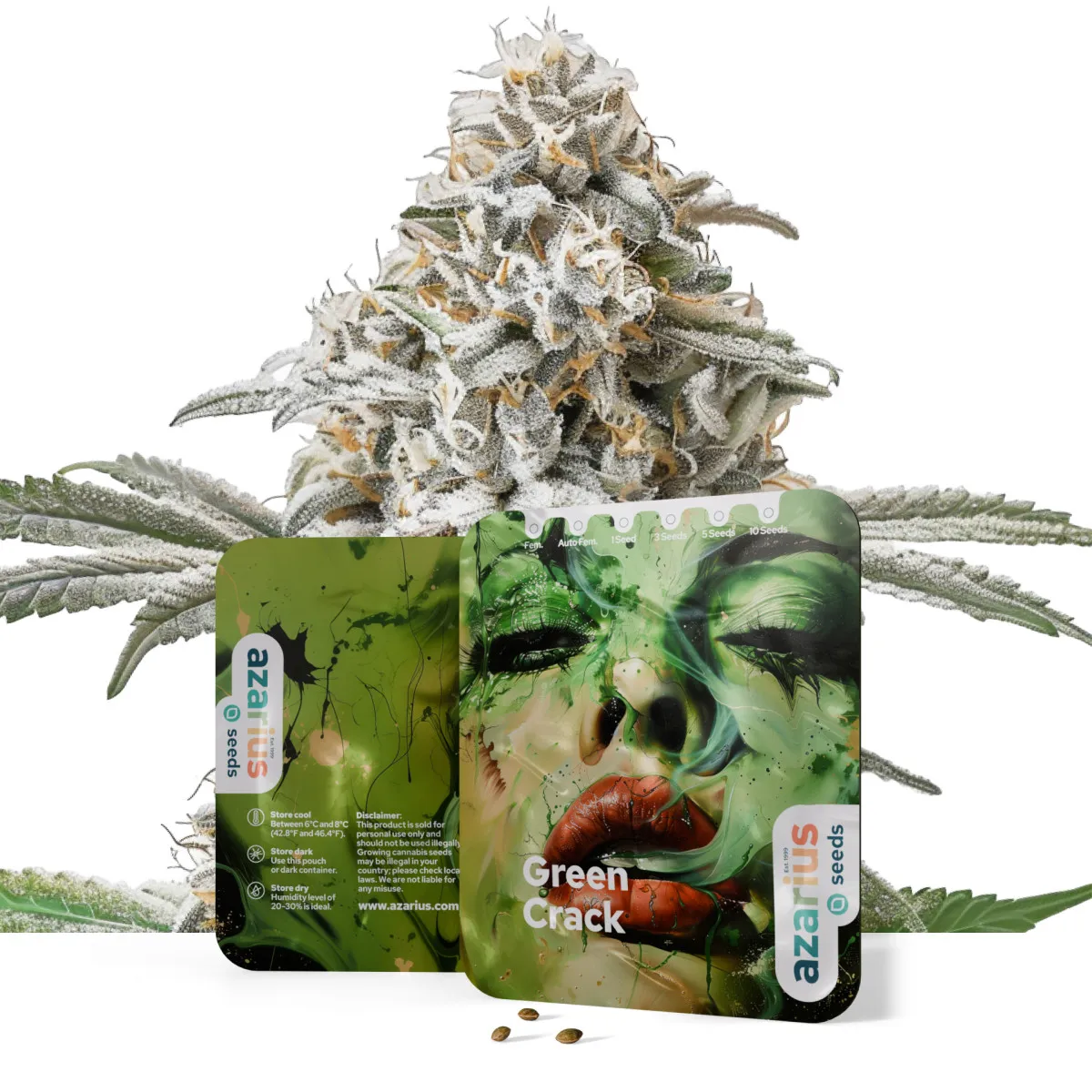 Super Silver Haze